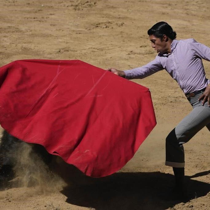 Bullfighting resumes in Mexico City before a full crowd while activists protest outside